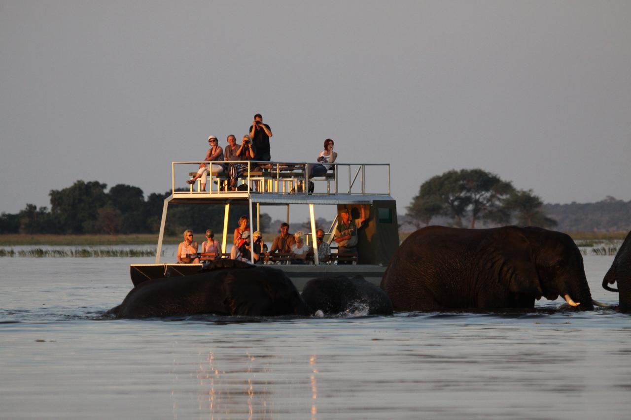 Chobe River Camp Ngoma 外观 照片